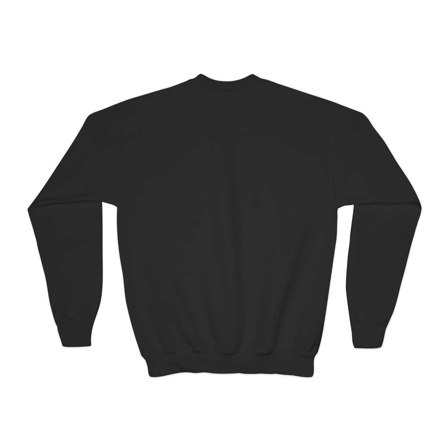 Sweat-shirt ras du cou « Youth Think Bigger » 